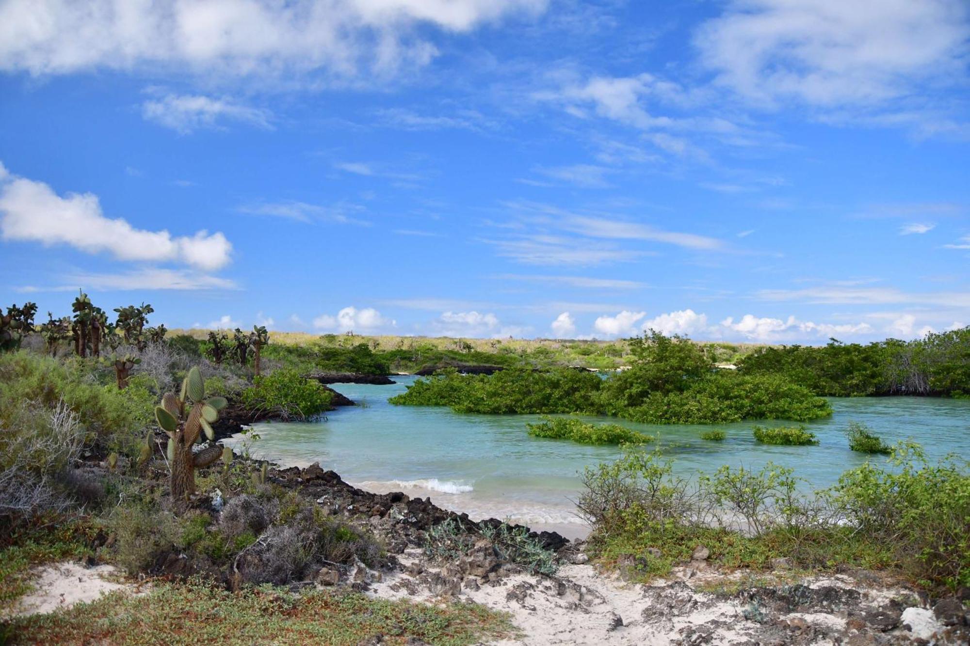 Royal Palm Galapagos, Curio Collection Hotel By Hilton Bellavista  Exterior foto
